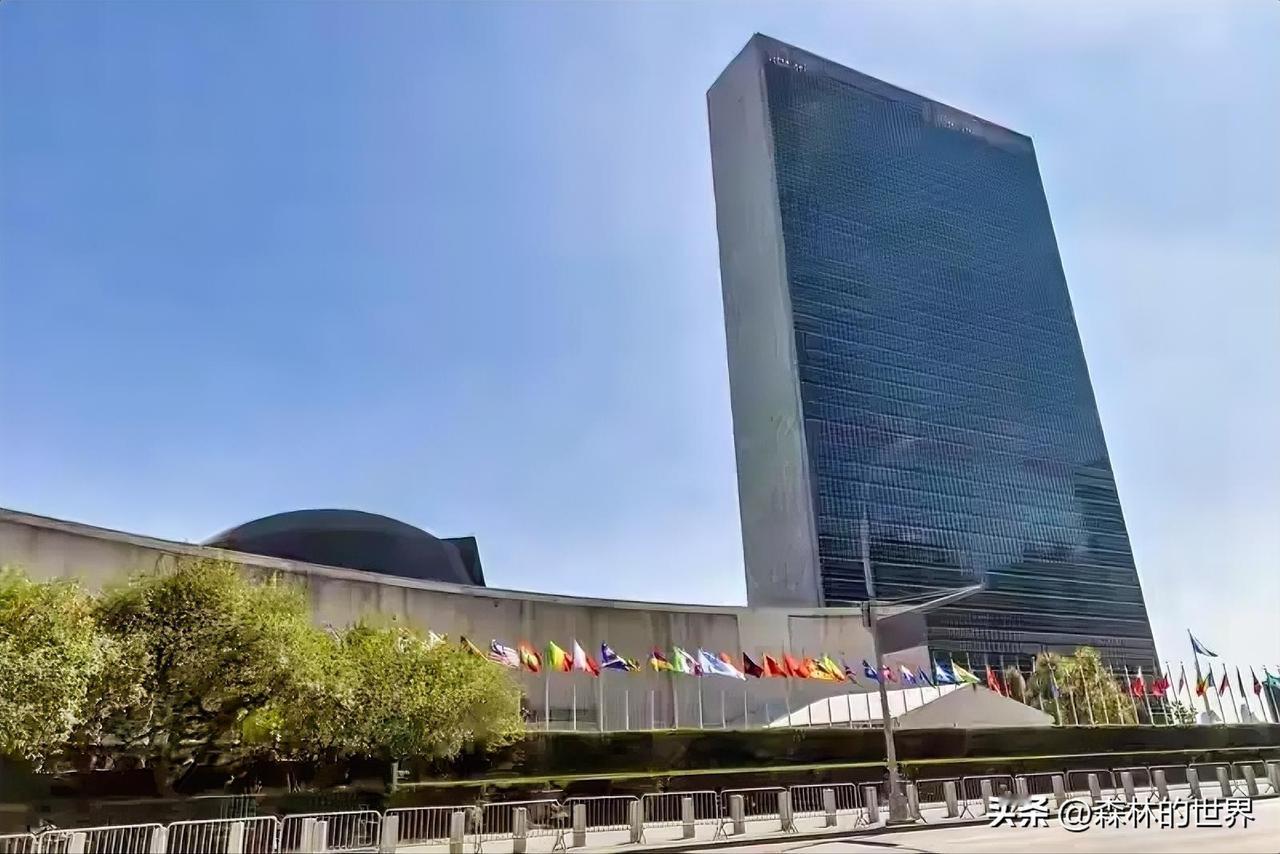 近期美国向联合国递交外交照会，提出了十分有意思的要求。美方表示愿意缴纳拖欠已久的