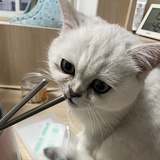 小闲热读科技