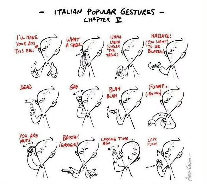 看冬奥开幕式确认了男友不是疯子哈哈哈哈哈哈哈实实在在的看了一场意大利手语教学