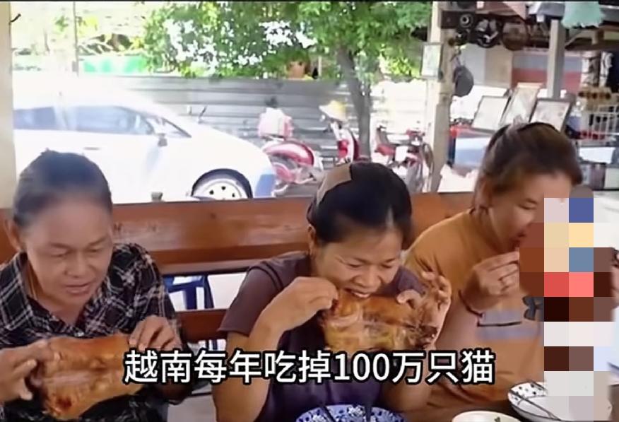 越南一年吃掉100万只猫，这个肉我听说好像跟兔子肉味道差不多，肉质特别细粉，如果