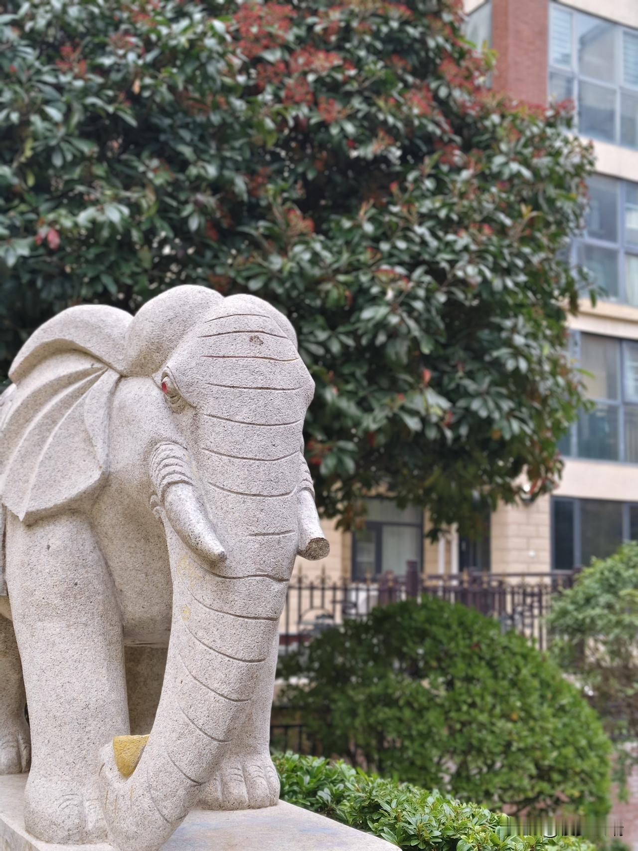 石象不语，温情长驻
 
在小区的一隅，一尊石象静默矗立，似是时光的守望者。它以浅