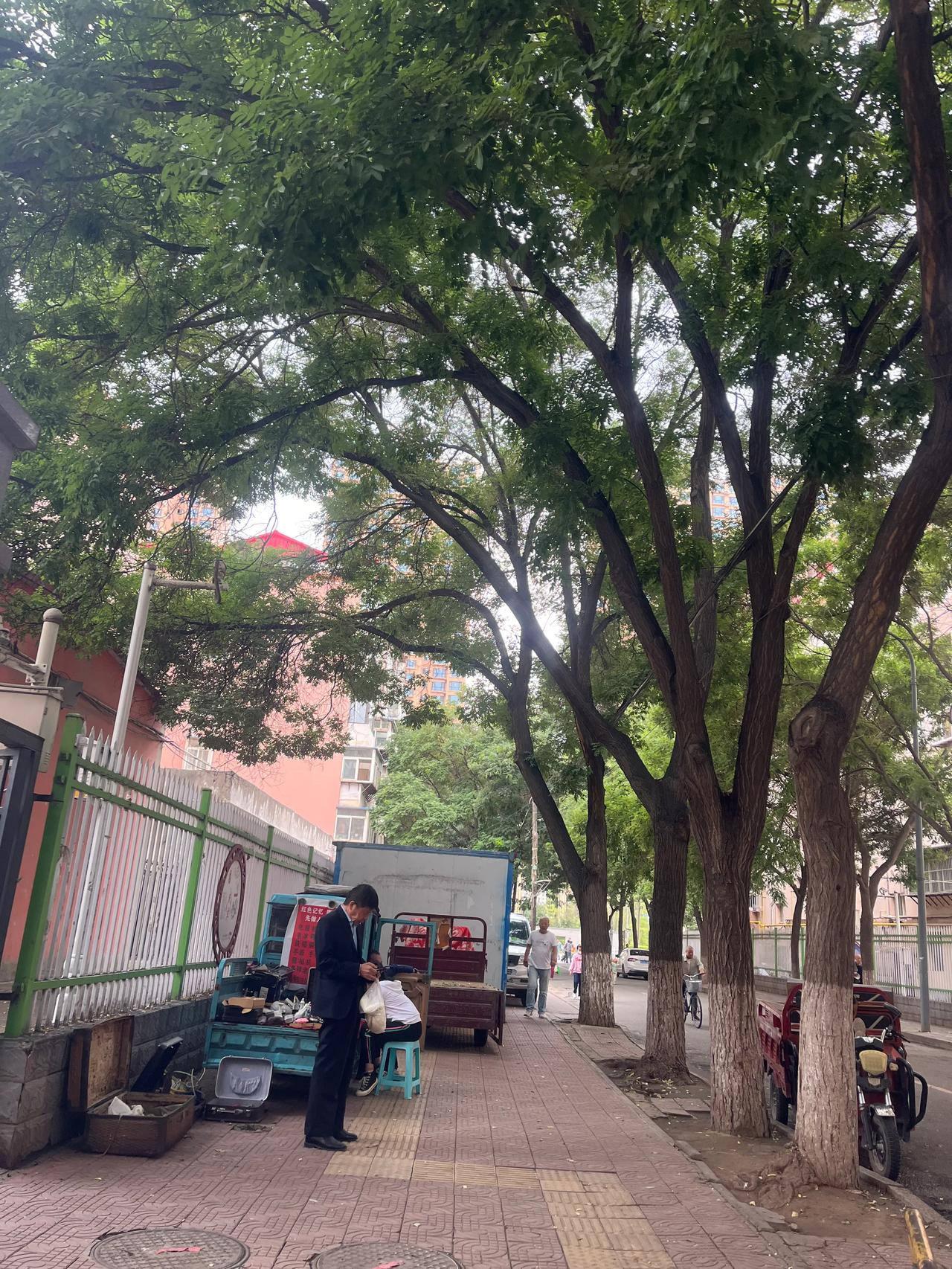 “我就喜欢逛菜市场，瓜果梨桃，稻黍稷麦，各有各的样，各有各的品相。一想到它们曾经