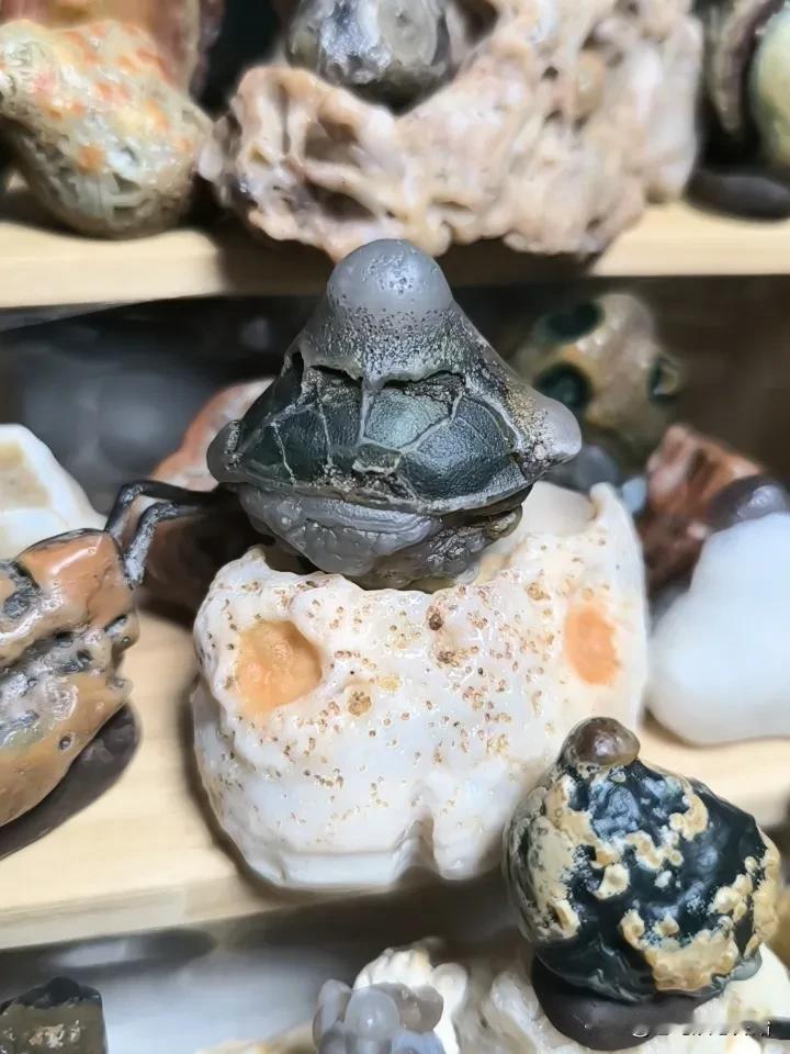 也不知具体从什么时候开始的，不再喜欢人多凑热闹，不再喜欢把自己任何的事向外宣扬，