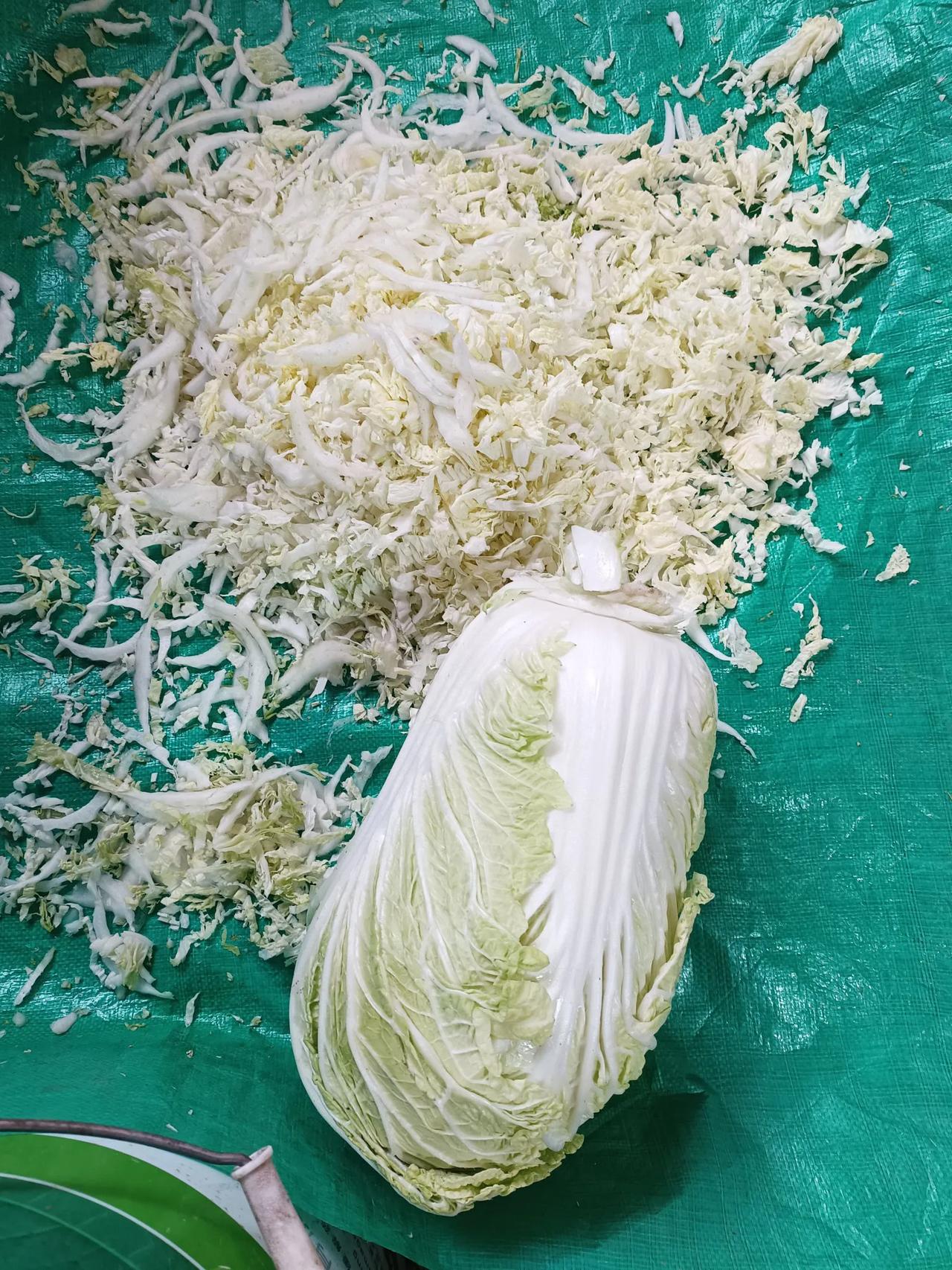 #一张照片分享秋色#