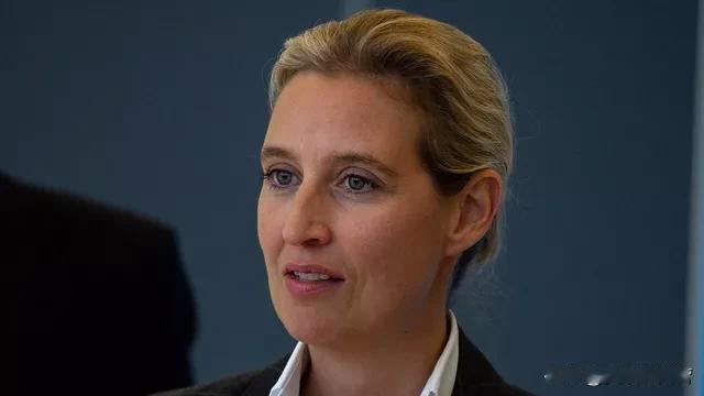 彻底乱套了！
德国选择党联合主席魏德尔表示，德国政府应该拒绝接收来自摩洛哥的非法