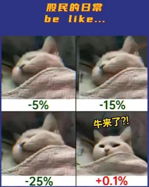 留意新版块周二个股4300家上涨，中位数+0.97%，近3000只个股涨幅不到+