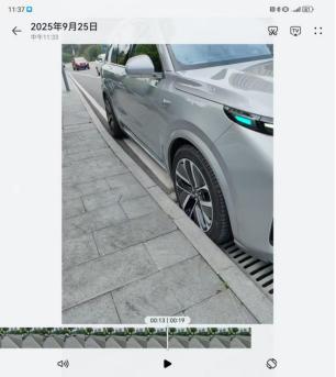 不是说摄像头就在轮毂上方吗，结果却识别不了近在咫尺的马路牙子？这恐怕不是硬件问题