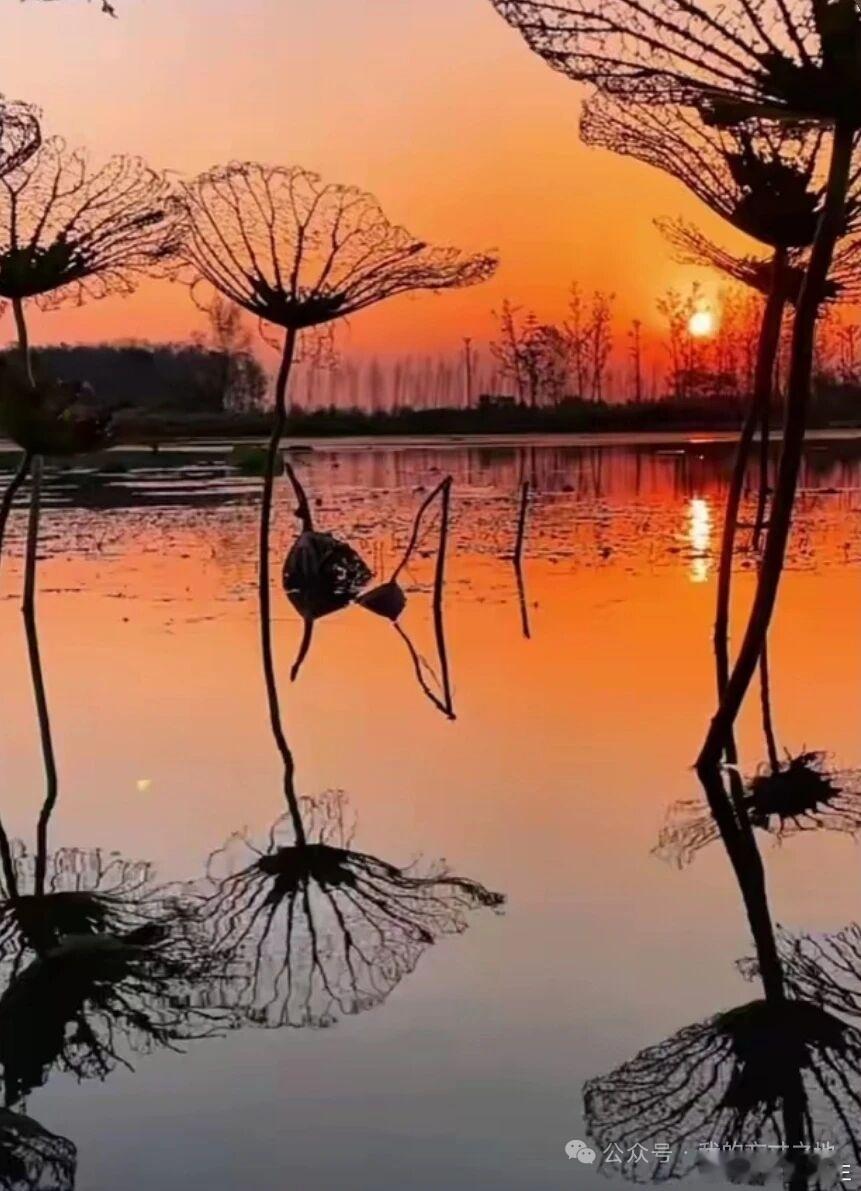 如果时间可以如果时间可以我想走遍株洲的山山水水让湘江的晚风记住我凝望的侧影把云阳