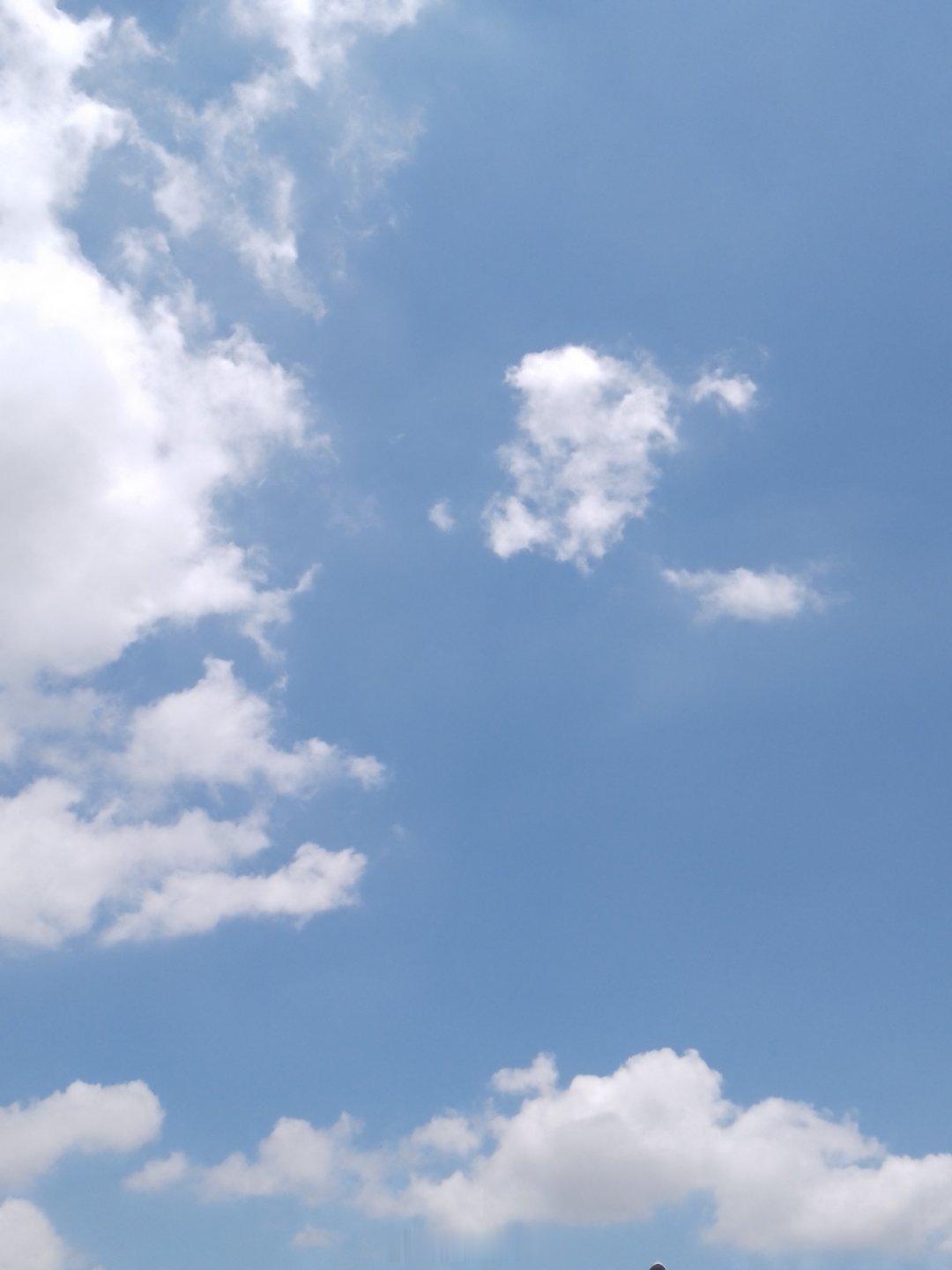 早安🌞  高温天气 