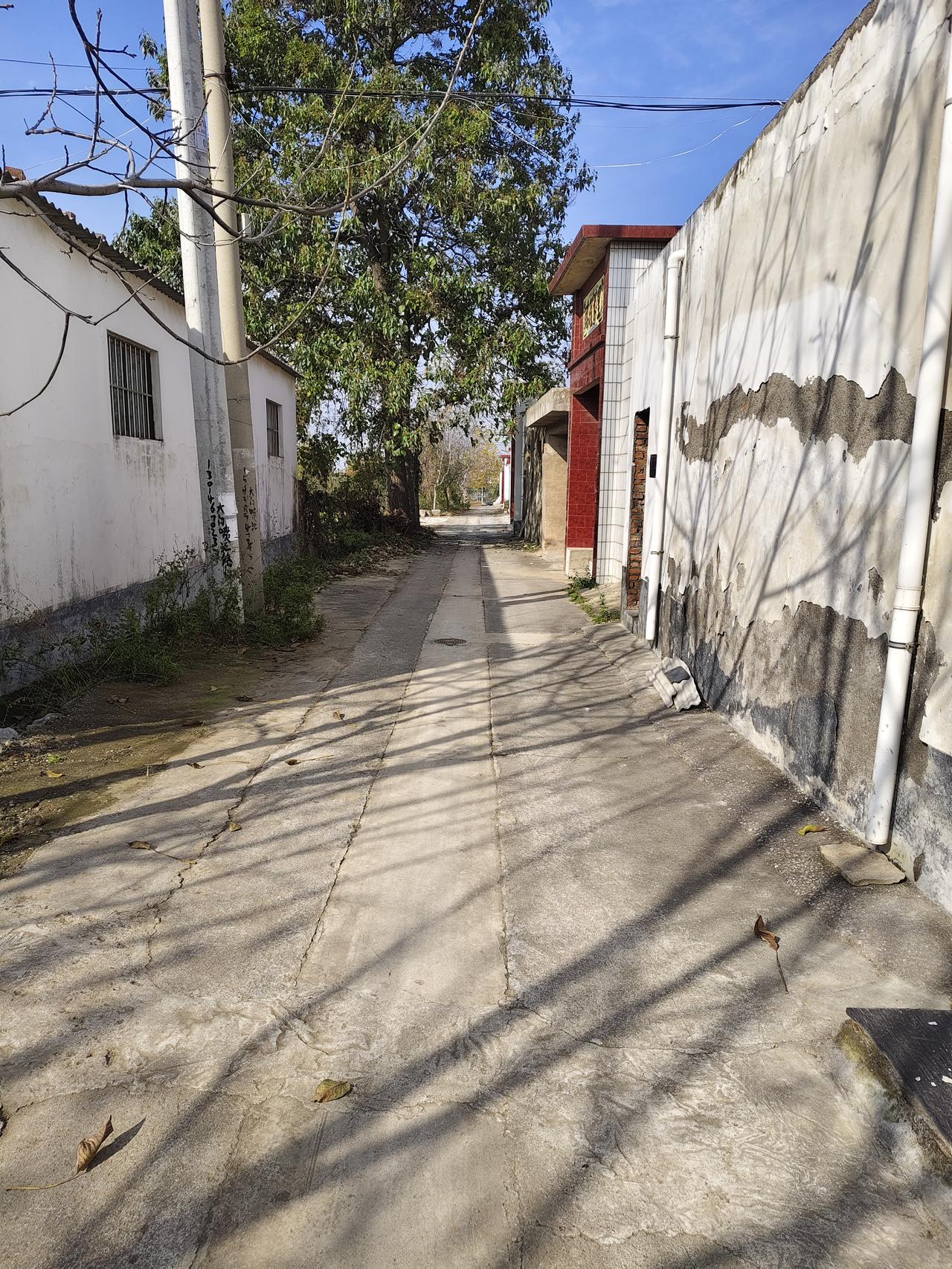 乡村小巷里的秋日慢时光
 
晴好的午后，村巷被阳光切得明暗交错。斑驳的墙皮裹着岁