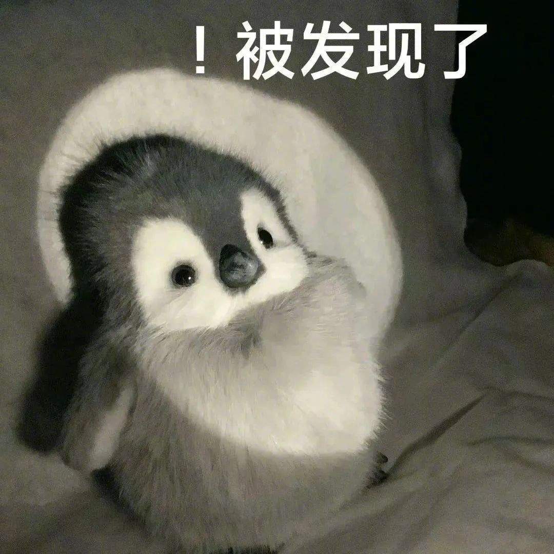一组神仙表情包 #表情包# ​​​