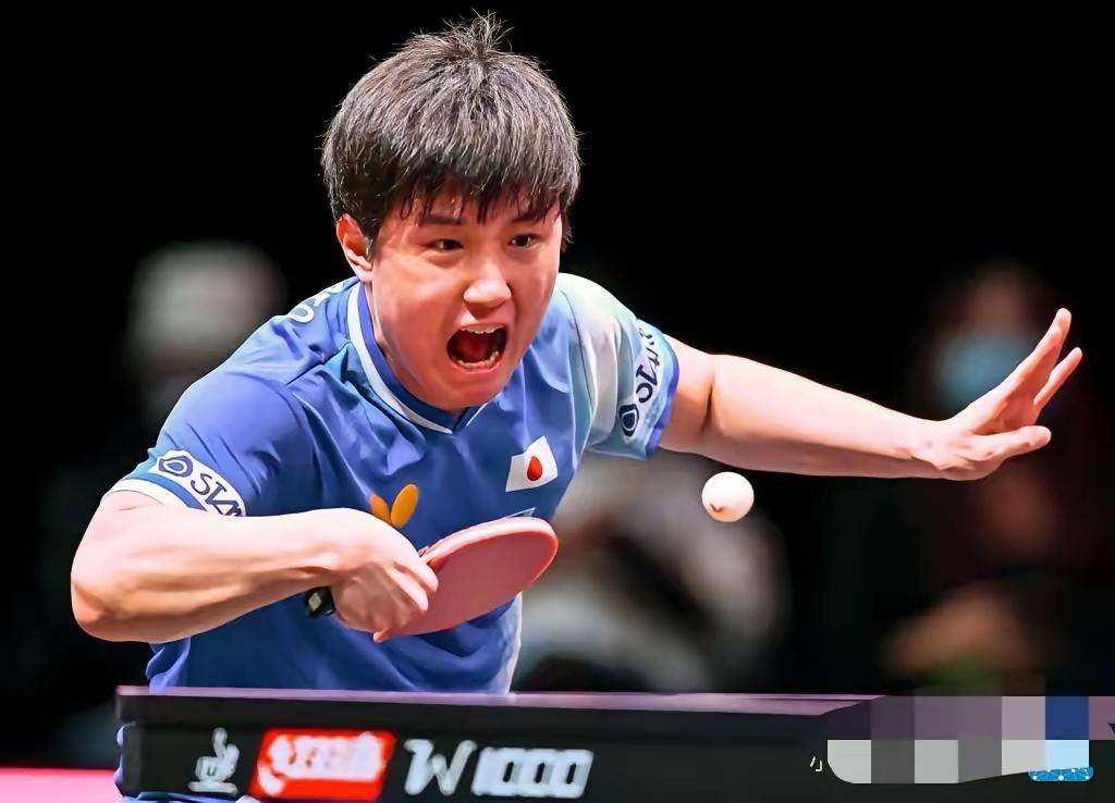 张本智和人品好不好，
​我不评价，
​但是有一点我敢肯定，现在的张本真的很厉害了