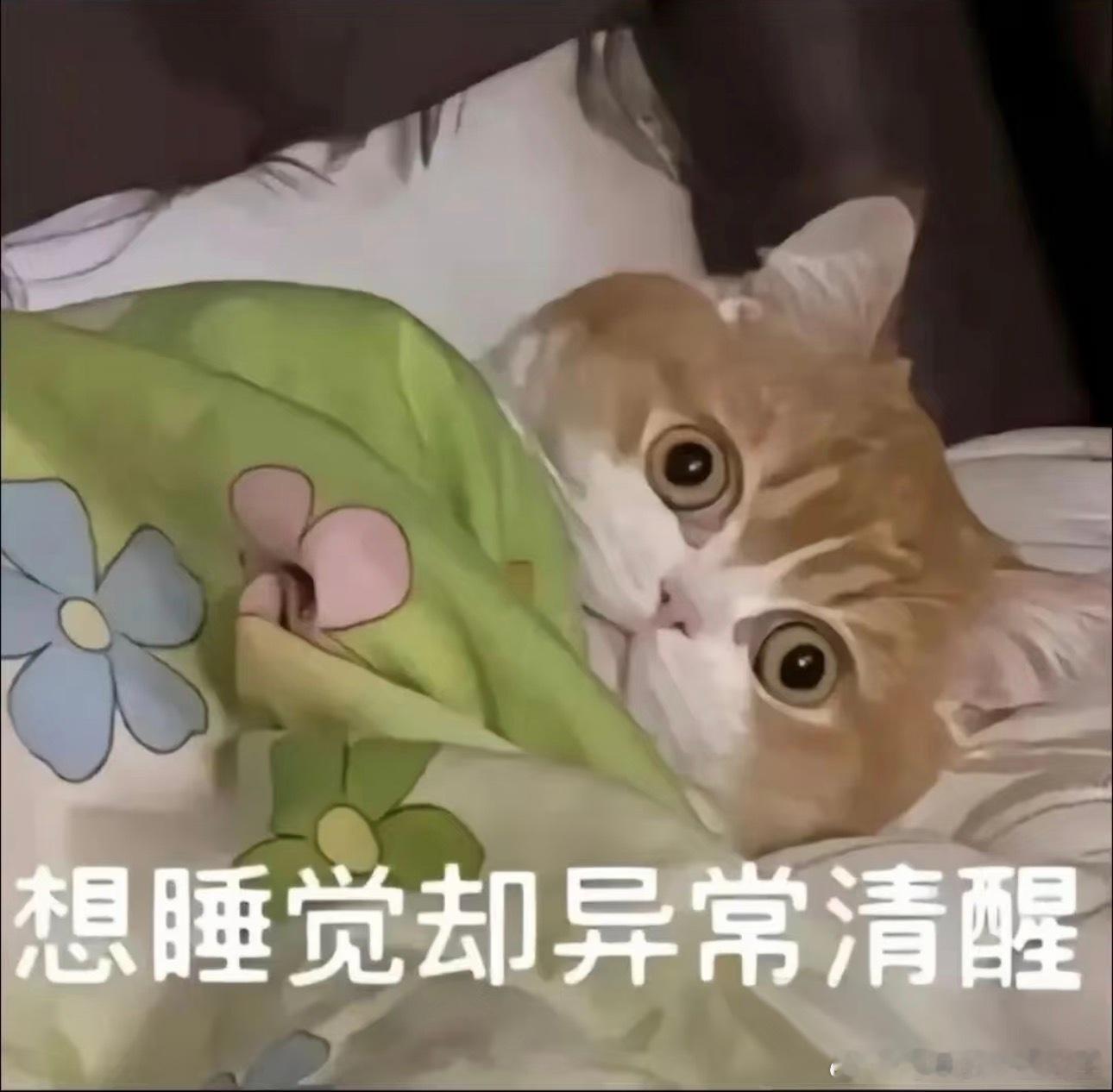 不要半夜看剧早春晴朗 ​​​