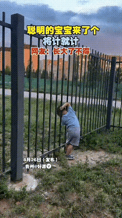 孺子可教也
哈哈哈