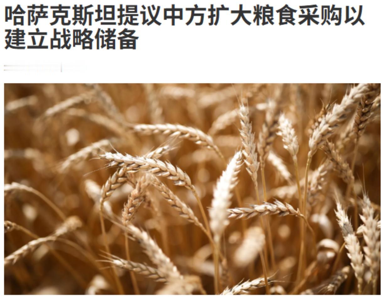 大喜事，中亚继续绑定中……哈萨克对东方表示——愿意给咱们当粮仓！
哈萨克农业副官