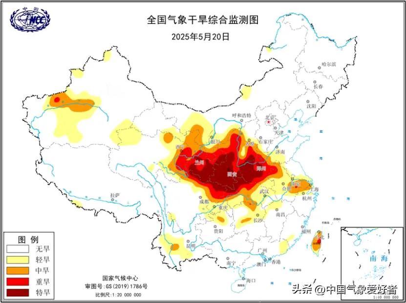 快收麦，郑州太热了，黑红黑红的，成了糖芯！连续3天郑州高温超过40度，且有一个月