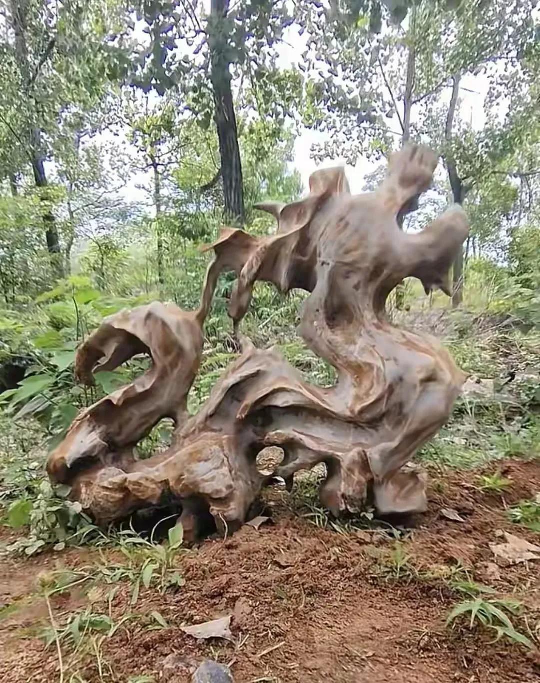 这是一块灵壁石，属于自然形成的，未发现任何雕琢的痕迹。
从形态上看，像一条昂首咆