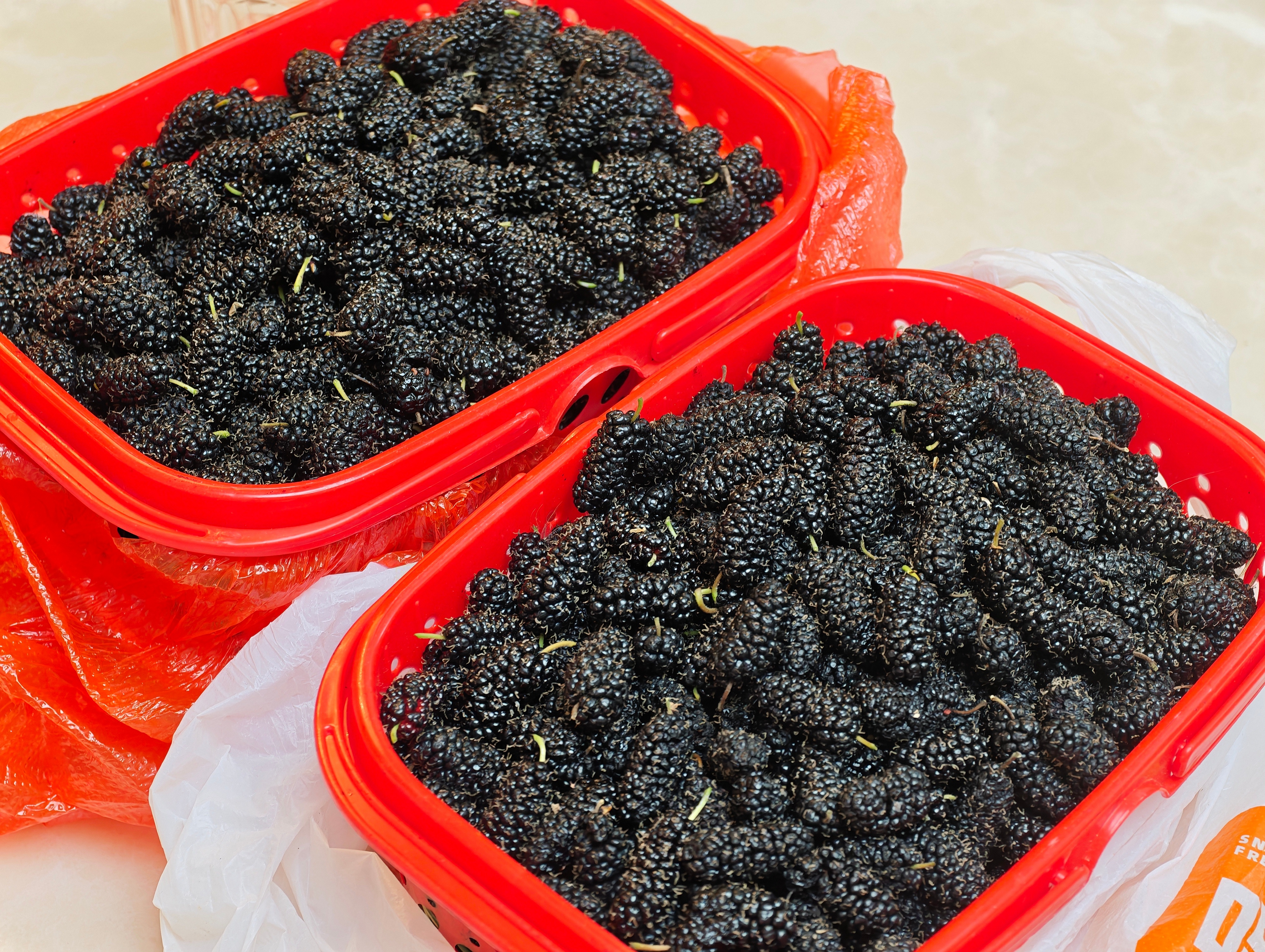 邻居这么晚了给送两筐桑葚来，太多了根本吃不完啊，咋整