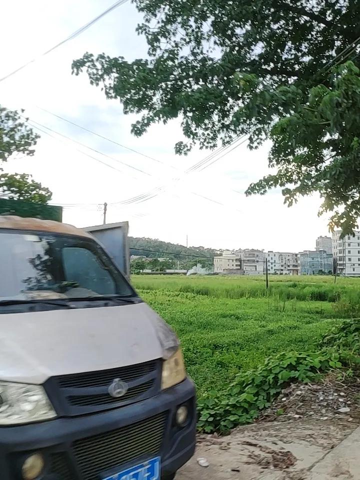 夏日，随手拍的绿荫照片里藏着无尽美好。就像夏日绿荫写真，那些和自然互动的照片超有