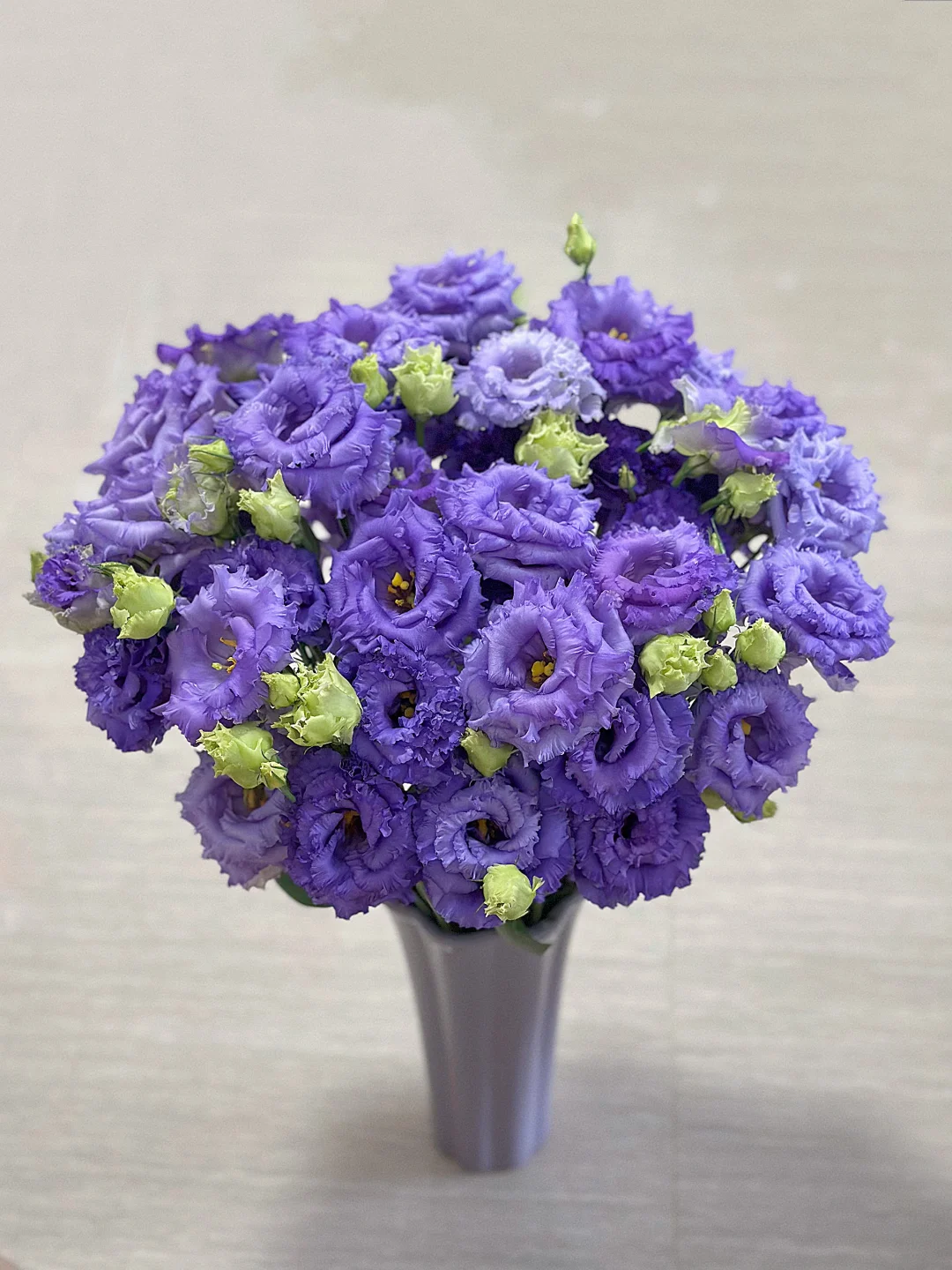 越养越美腻的俏新娘紫💜