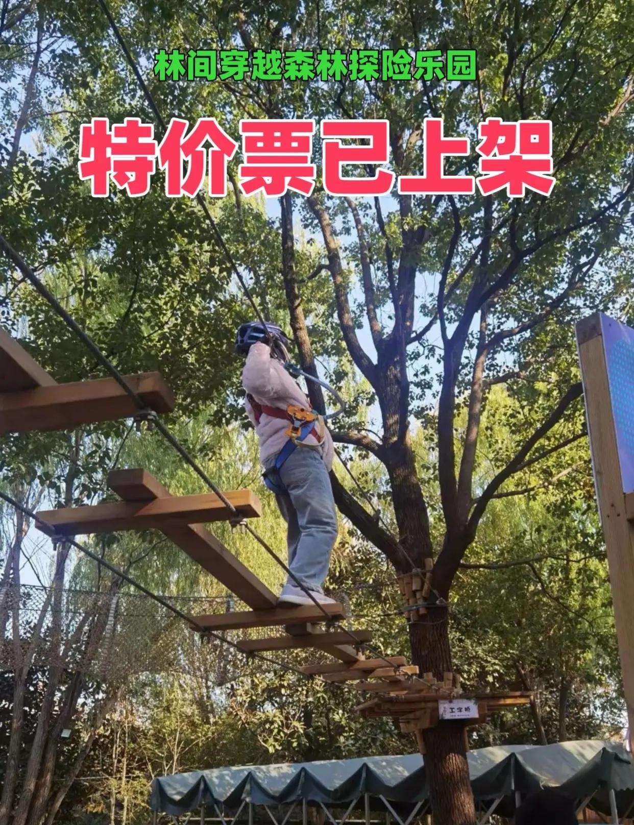 林间穿越森林探险乐园。