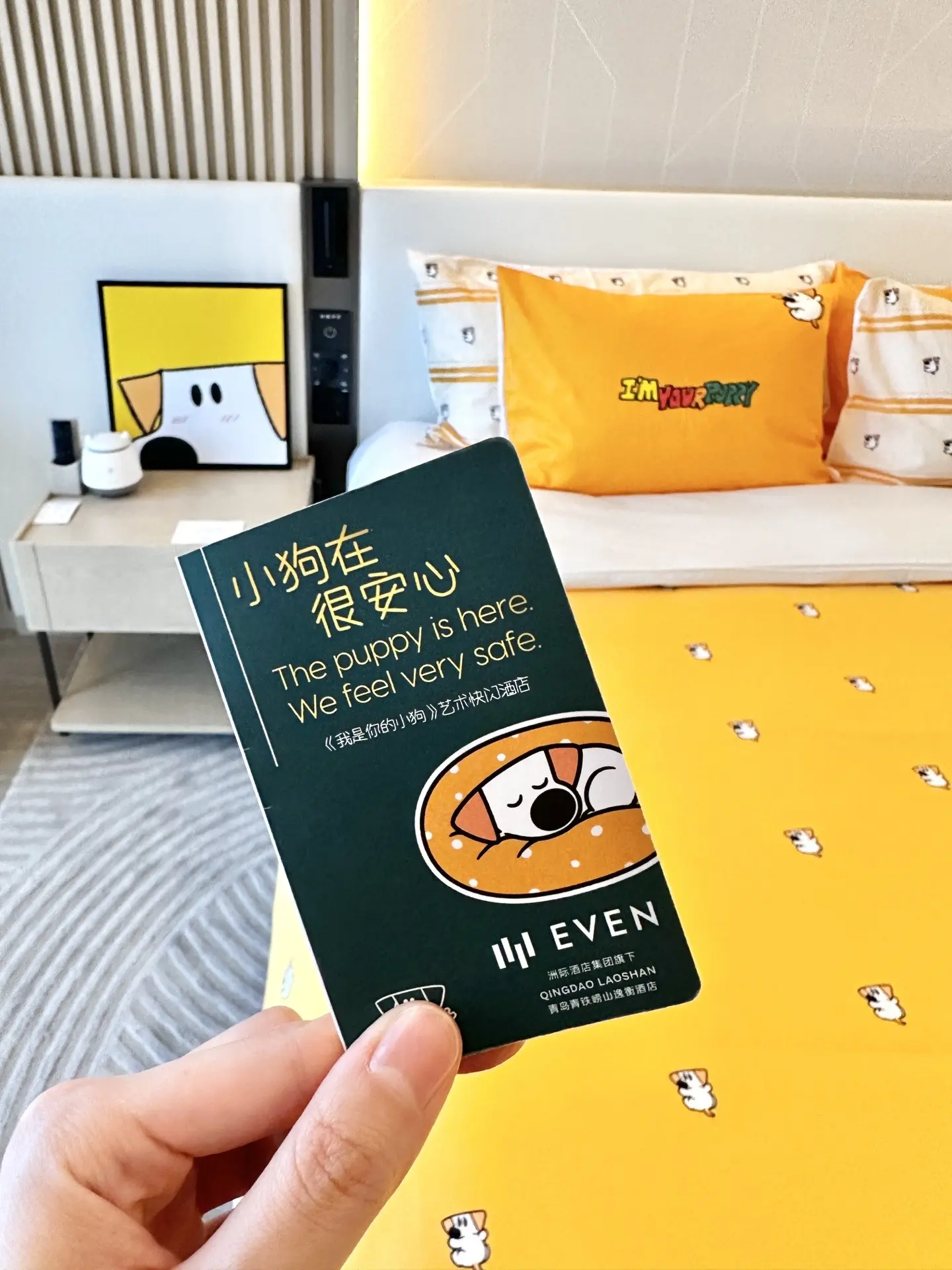 小狗主题酒店住吗？😃青岛哟！
