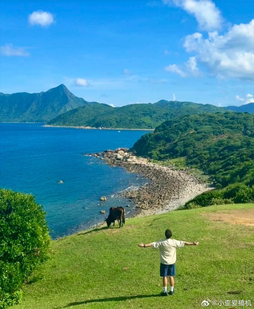 19岁女大学生景区内遭捅多刀身亡 真是飞来横祸，本来开开心心旅游[泪] ​​​