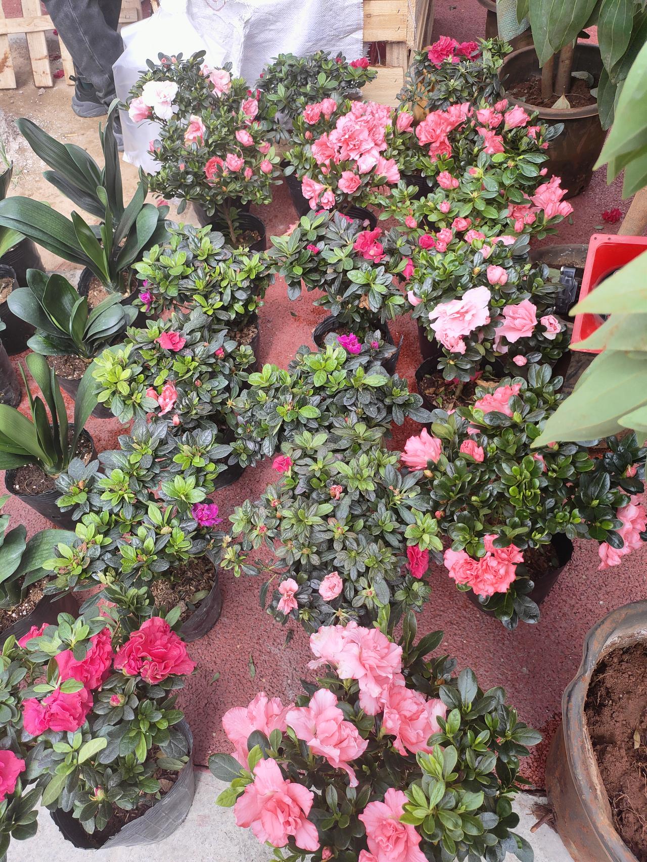 朋友不在多，而在真；感情不在浓，而在久
 
人这一辈子，来来往往会遇见很多人，年