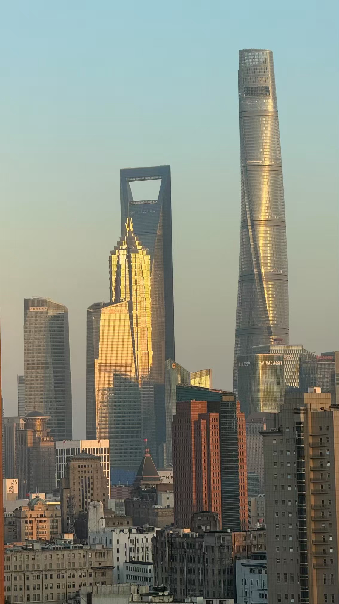 日月星辰，魔都的精华两小只每天都在边看风景边吸纳真是懂投胎啊，找到了好人家～[嘻
