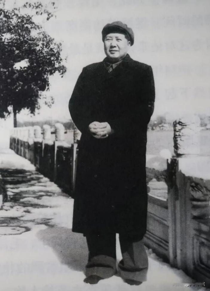 1971年毛主席南巡抵达杭州后，陈励耘前往迎接，看到毛主席对他态度冷淡后，他就深