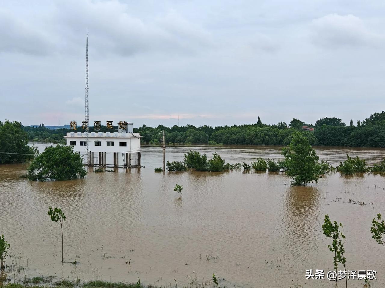 夏雨，雨大雨急，河水上涨，淹没农田！坚守，再坚守！