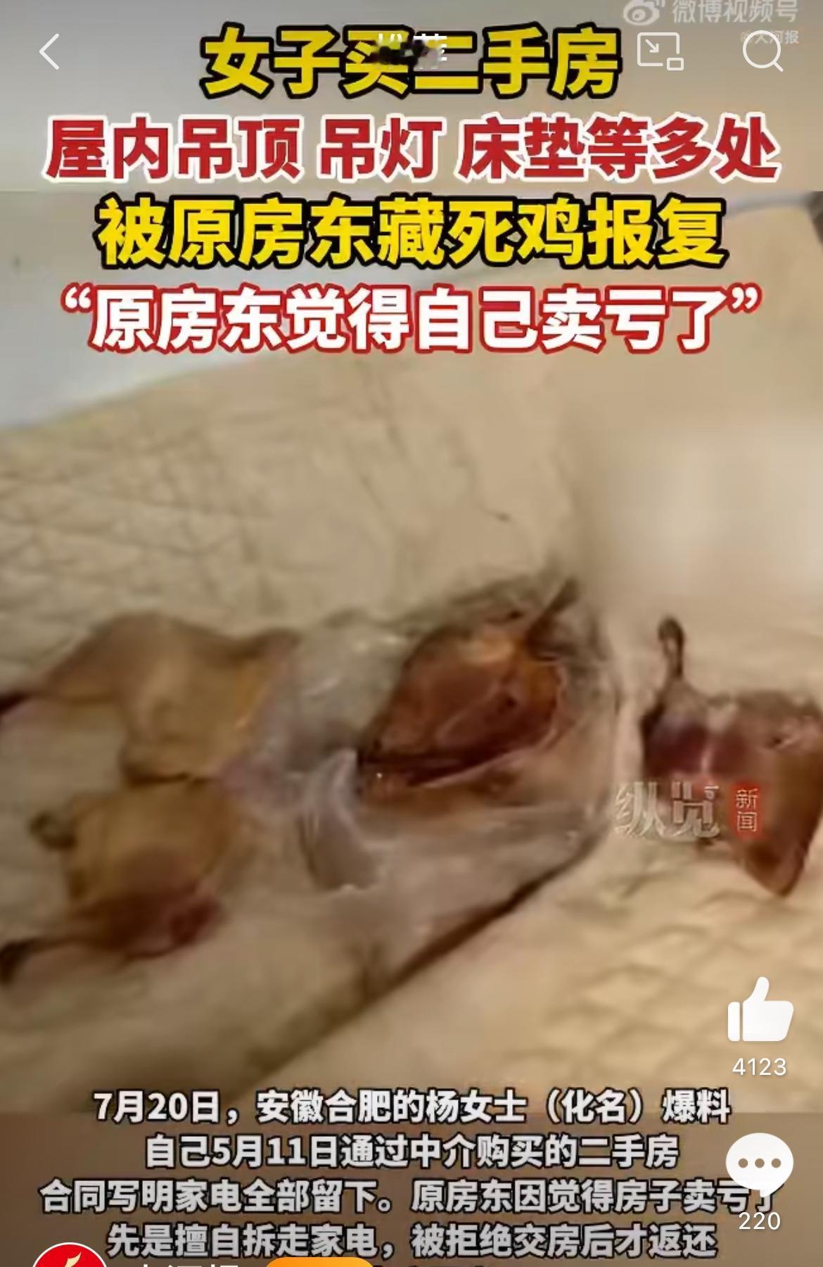 房东觉得房子卖亏了报复买家，安徽合肥一位女士买了一套二手房，本来是件高兴事，结果