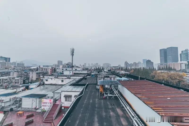 失业第三天，早上晒被子，突然有点小感动。

从来没有帮过我干事情，也从来没有享受