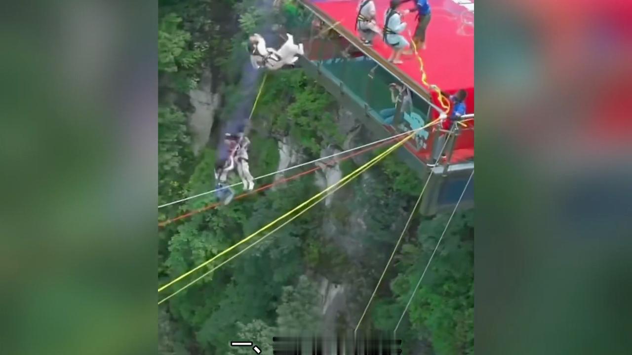 国内超硬核的六大“玩命”项目！