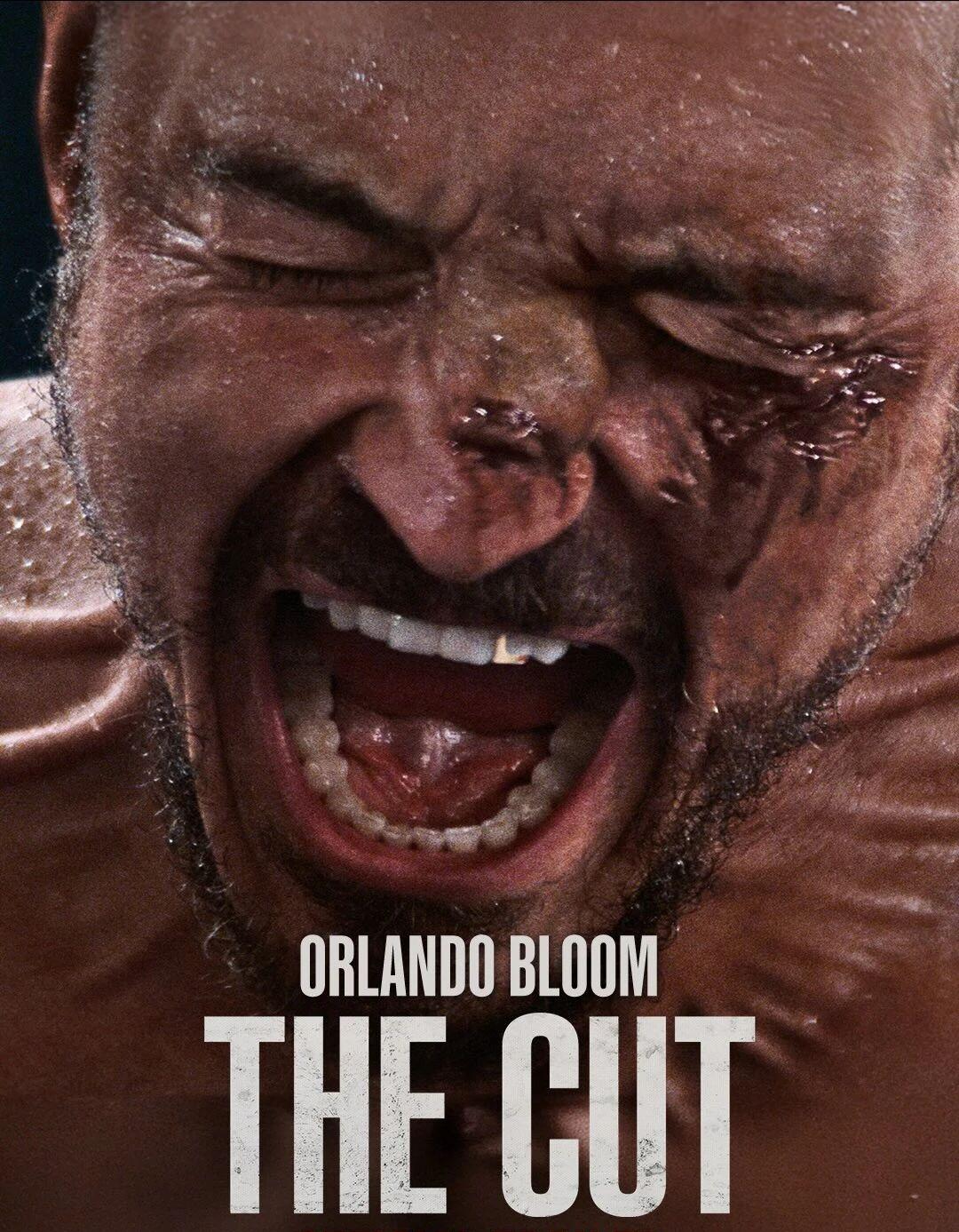 电影《冷酷威龙》（The Cut）讲述奥兰多·布鲁姆（Orlando Bloom