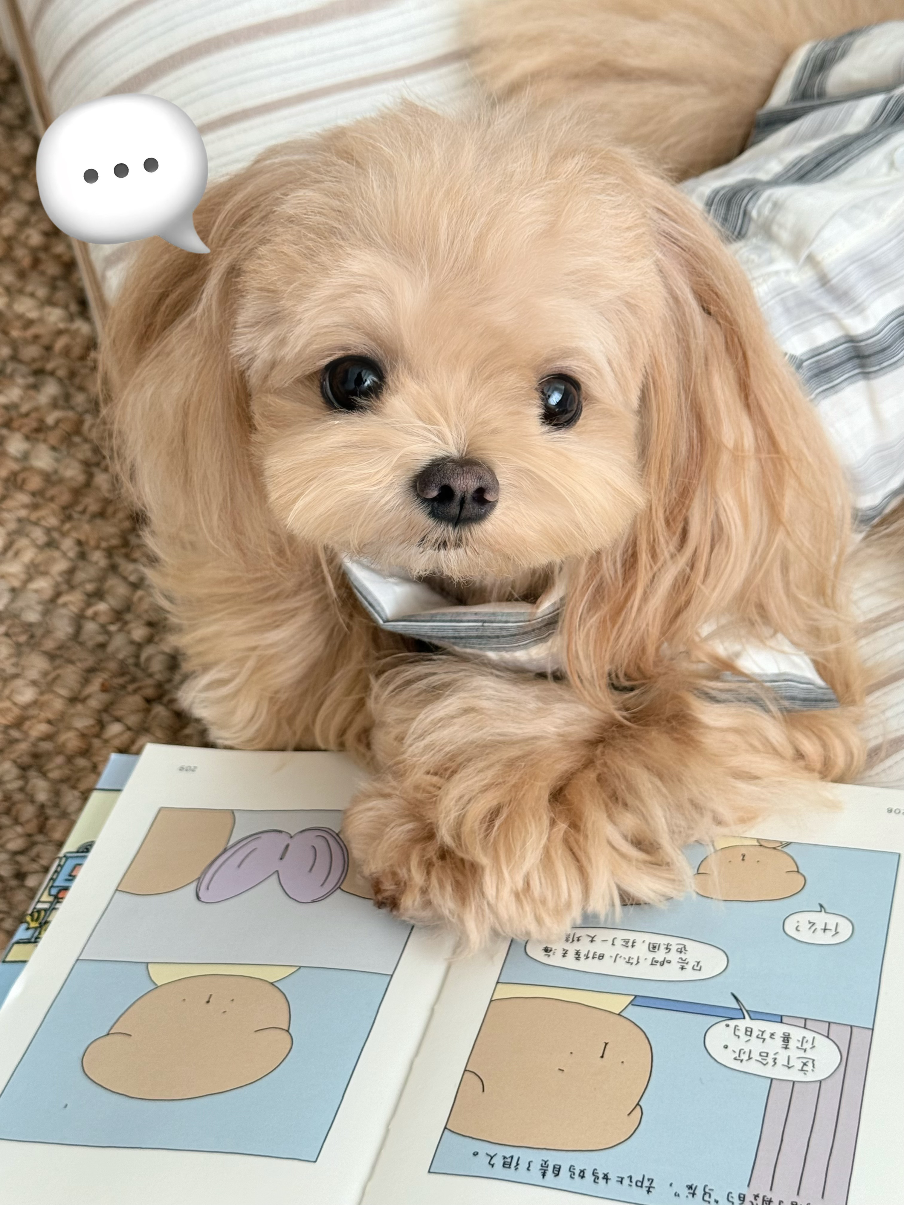 盛夏壁纸大放送动漫仲夏狂欢季۶•͈⚇•͈ა 🧸🫶🏻🍎📖 
