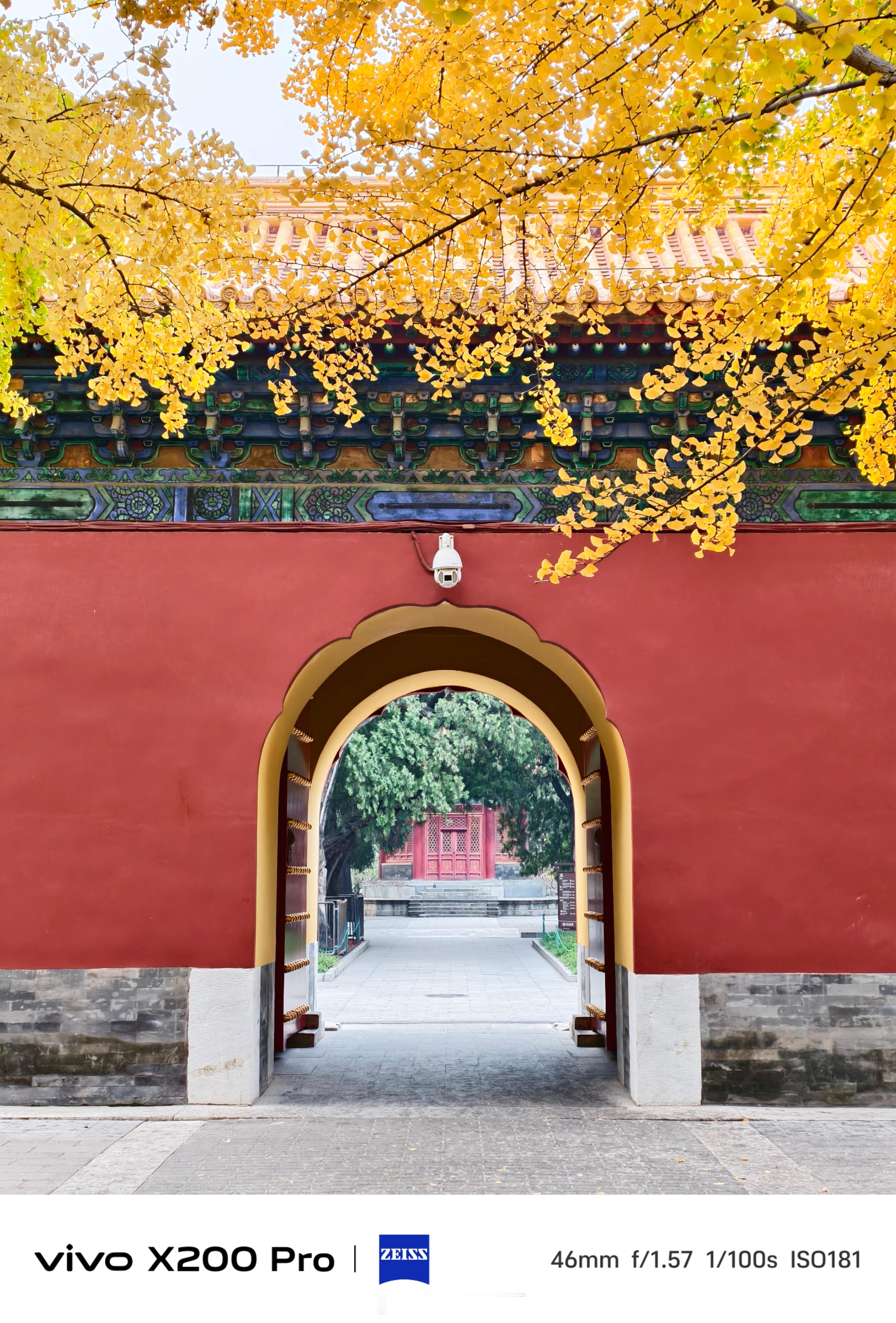 《中山公园的秋》                                