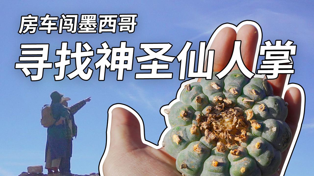 HOLA大家好，不知不觉【房车闯墨西哥】系列已经更新了那么多期了。我们一直在努力