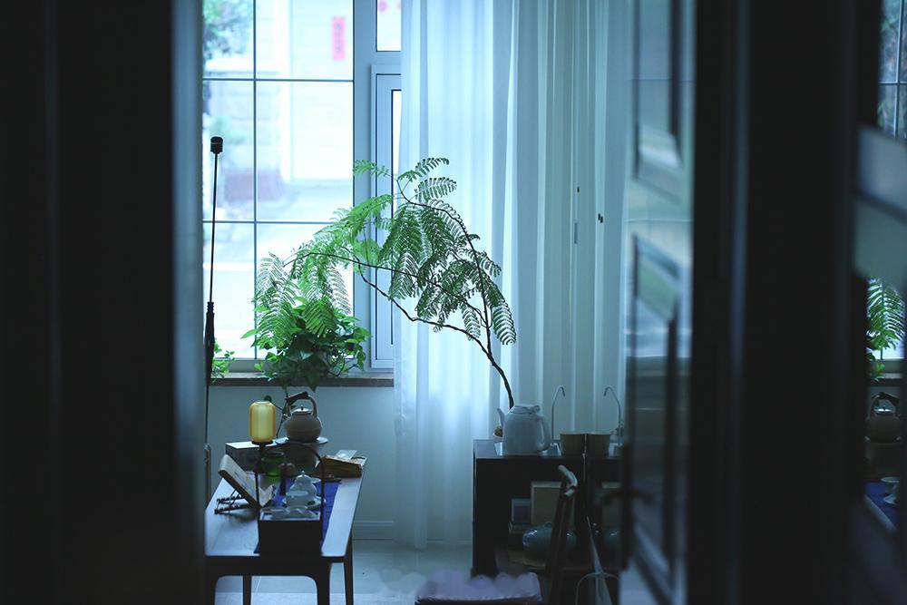 「若无梅子雨，焉得稻花风。」即使是梅雨季，也要保持清朗的内心。一壶淡淡的老白茶，