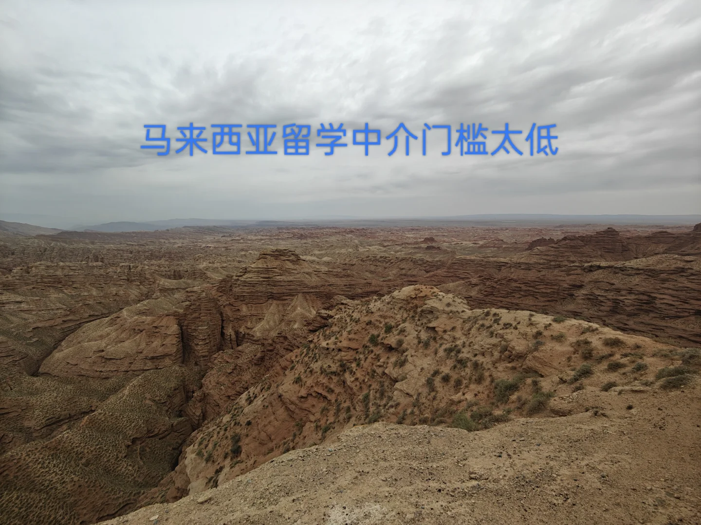 马来西亚留学中介越来越无底线