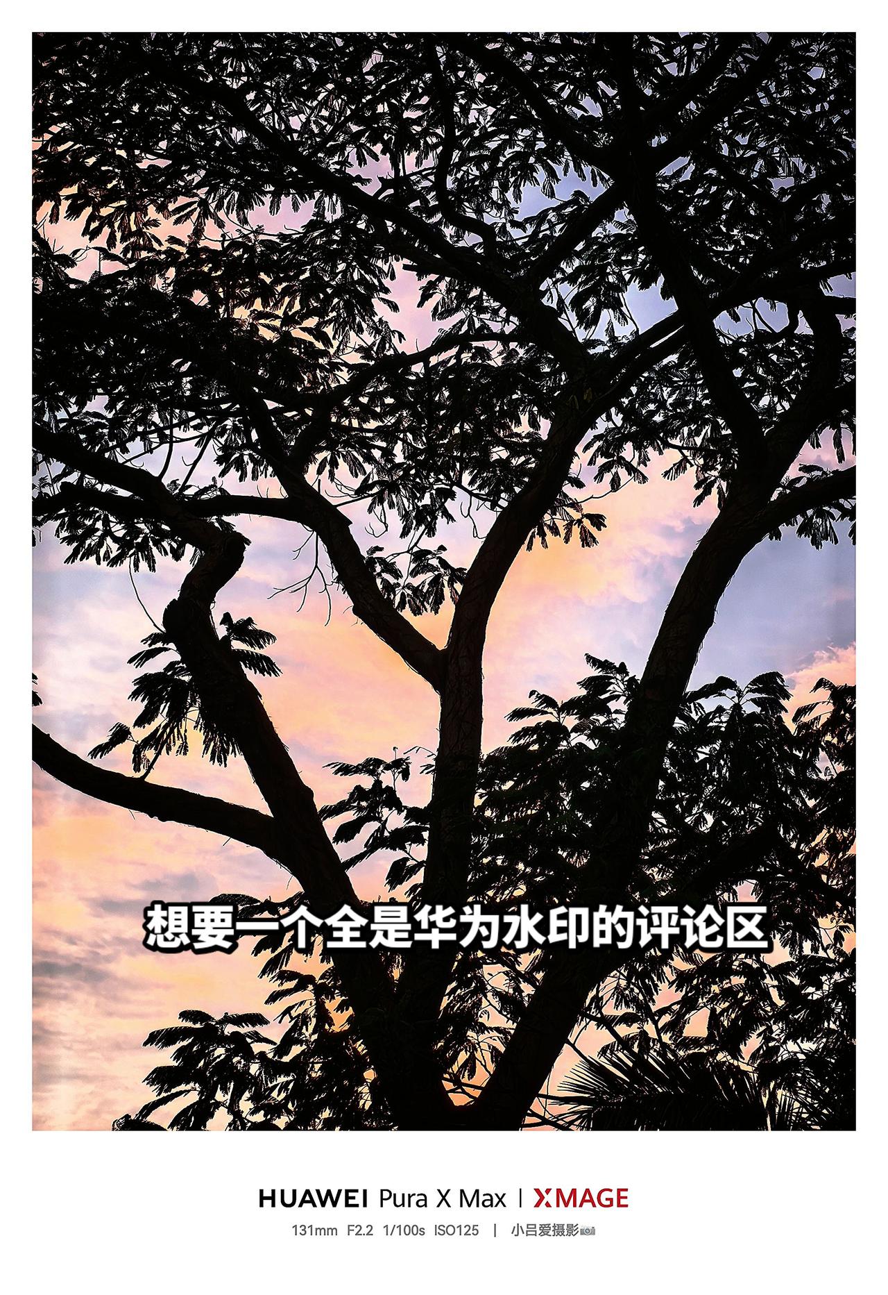 摄影风景都在路上红枫影像氛围感 华为PuraXMax