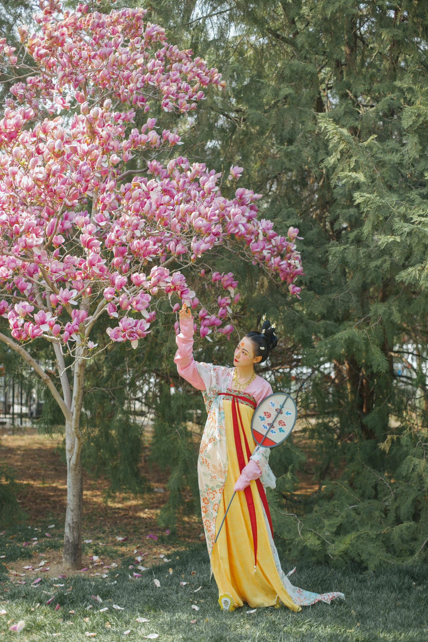 初唐｜东风吹过玉兰花。