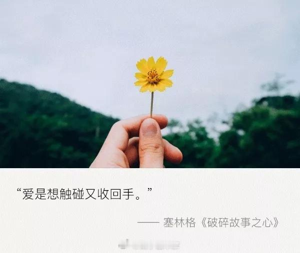 为爱发电，值不值得？手机屏幕的蓝光映着一双充血的眼睛。他又在和“黑子”对线了——