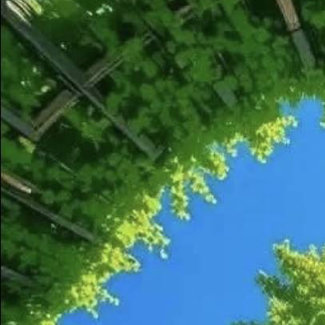 我们创造了一种独具风格的生活方式：有钱的真讲究，没钱的穷讲究。生命就这么沉浮在有