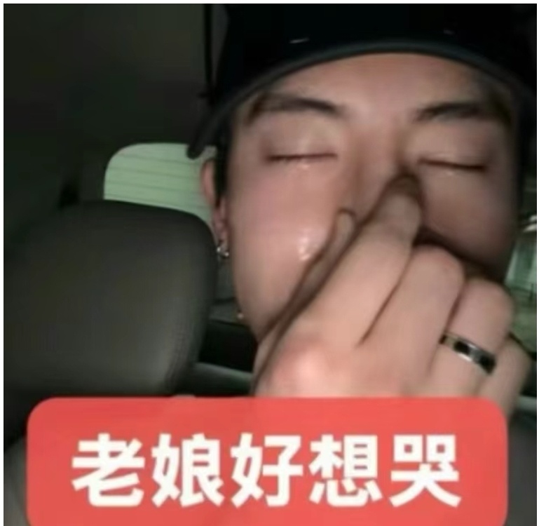 莘沁 