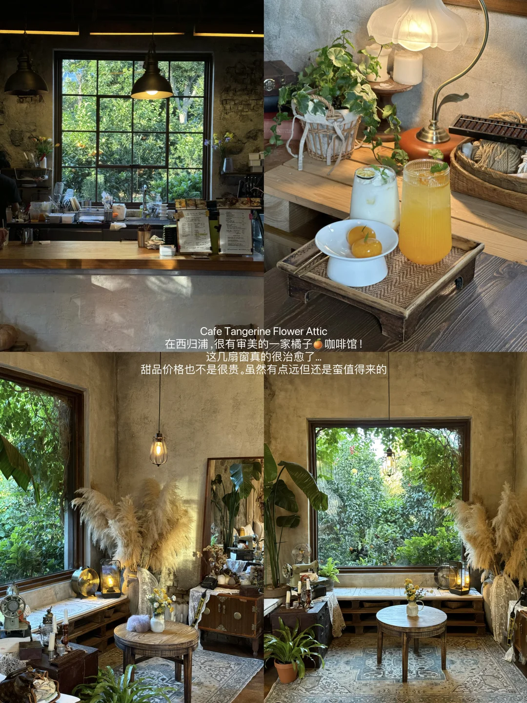 🇰🇷济州岛值得反复去的8家☕️🌊……