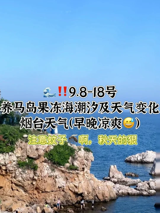 📍9.8-9.18号烟台养马岛果冻海潮汐及天气