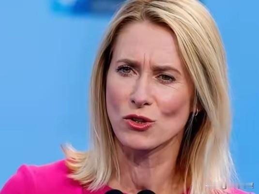 外国军事专家：卡拉斯，你太外行了！

俄罗斯向乌克兰发射“榛树”导弹后，欧盟外交