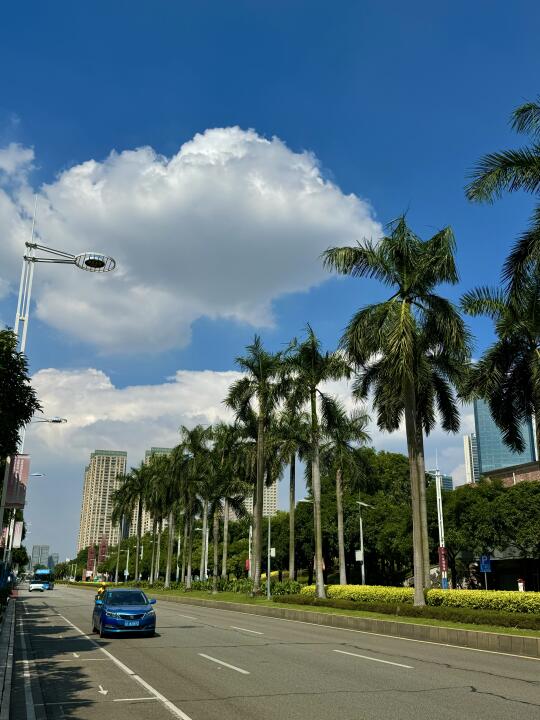 佛山的天气是开挂了吗☁️🌴☁️🍃