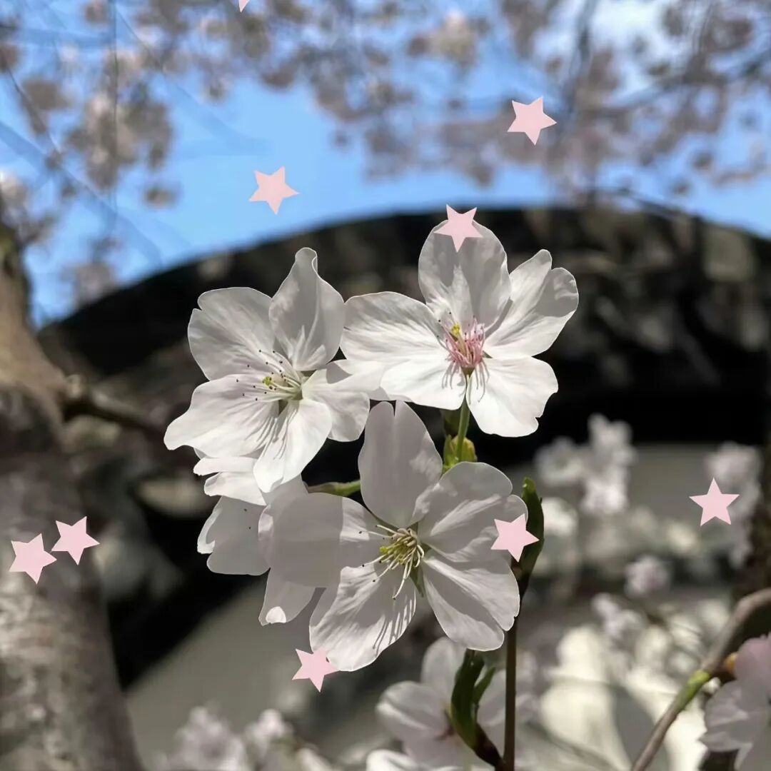 当故事到了结局 人们总会想起它的开始。 